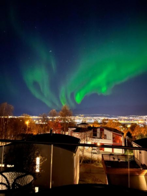 Northern lights view